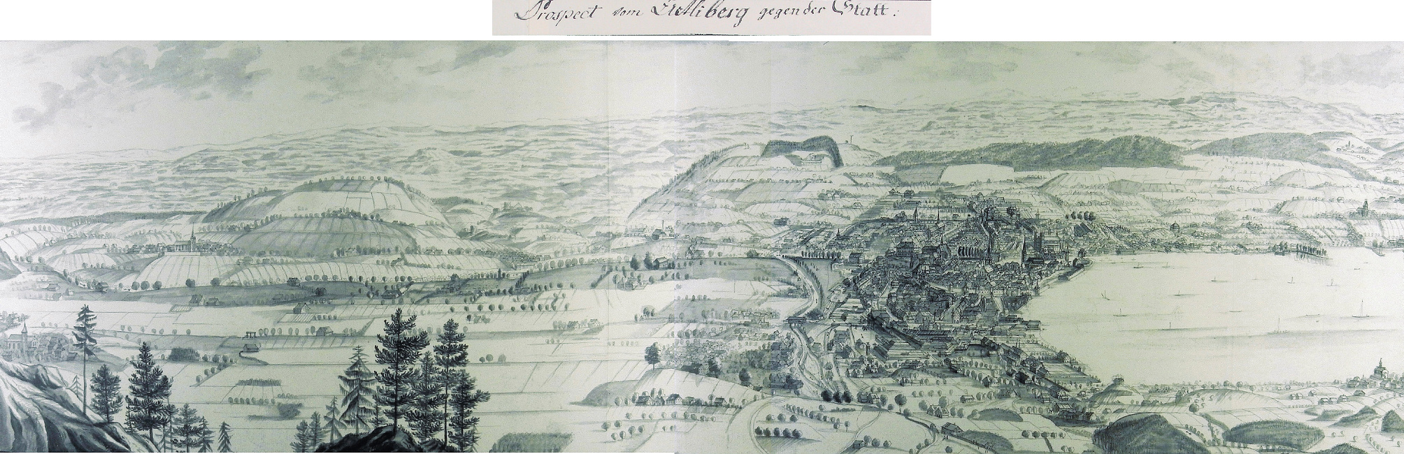 Ansichten der Stadt Zürich und der Orte am Zürichsee 1771-1772