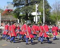 Zunft zu Oberstrass (Pikeniere)