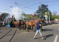 Zunft zu den drei Königen (Neptunus)