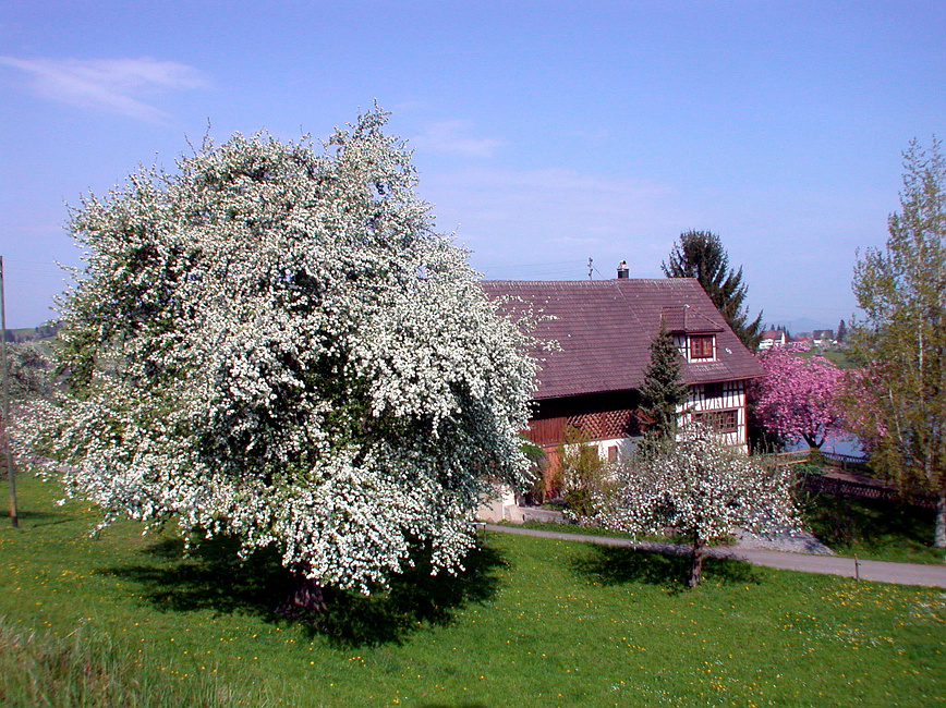 Aussenhöfe