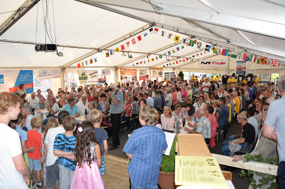 Dorffesthuetten2018staub