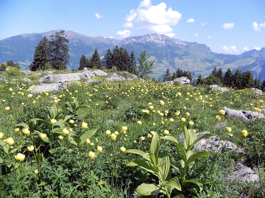 Seniorenwanderung Juni 2015