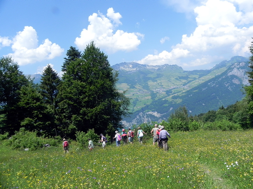 Seniorenwanderung Juni 2015