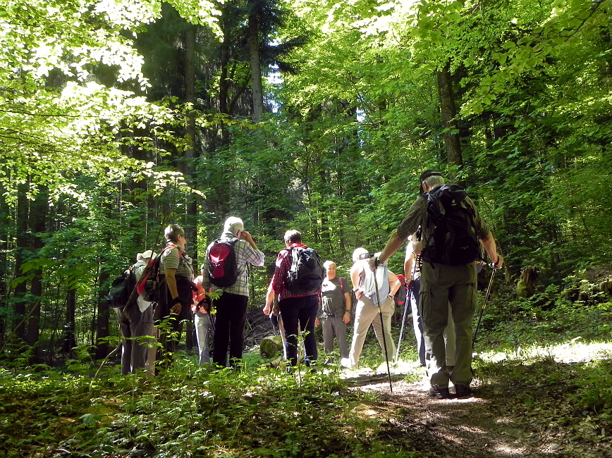 Seniorenwanderung Mai 2015