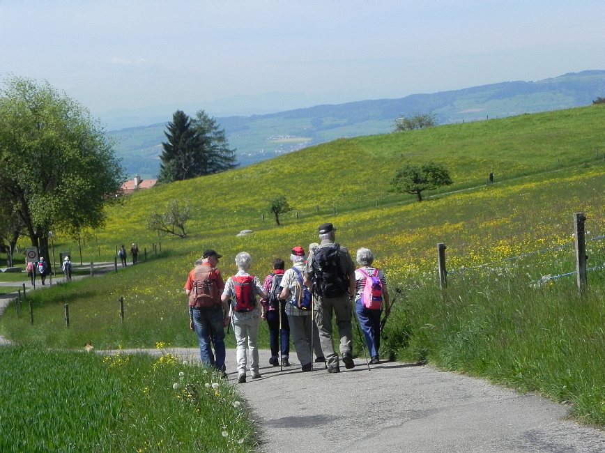 Seniorenwanderung Mai 2015