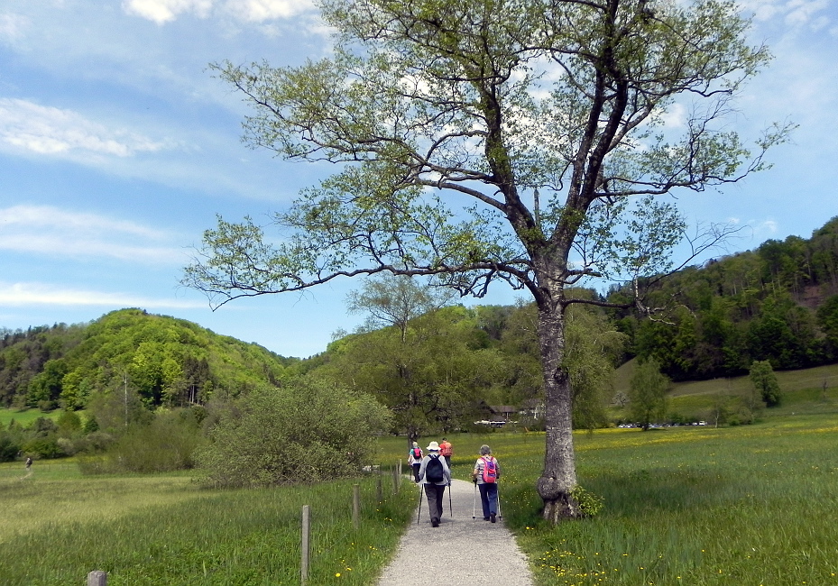 Seniorenwanderung Mai 2015