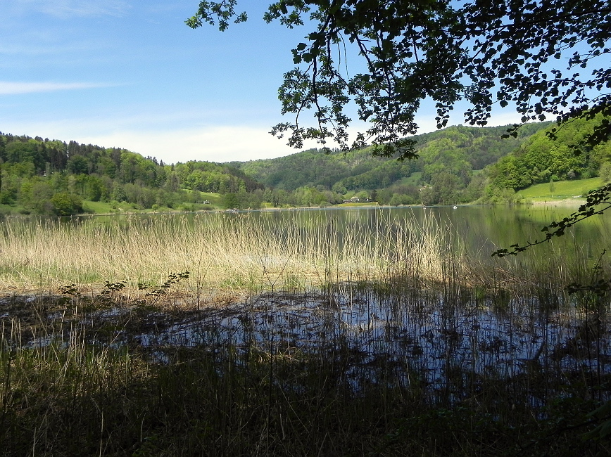 Seniorenwanderung Mai 2015