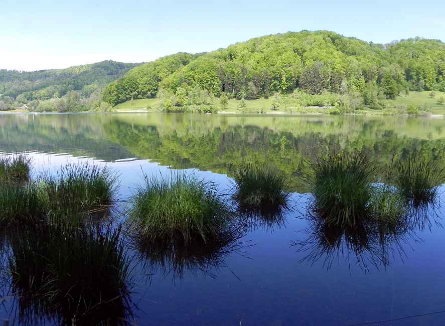 Seniorenwanderung Mai 2015