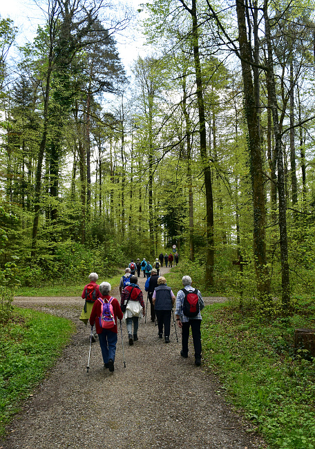 Seniorenwanderung Eschenberg-Kyburg