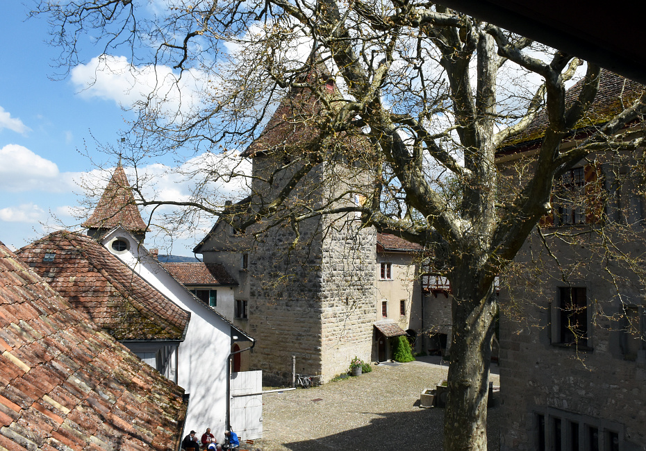 Seniorenwanderung Eschenberg-Kyburg