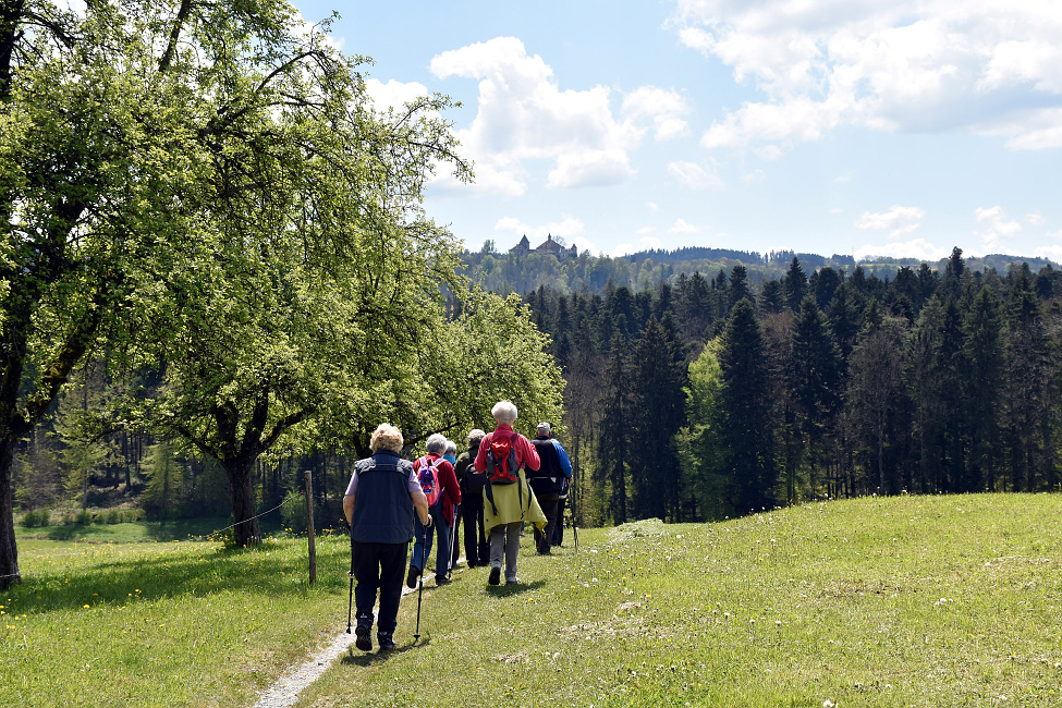 Seniorenwanderung Eschenberg-Kyburg