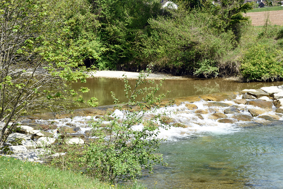 Seniorenwanderung Eschenberg-Kyburg