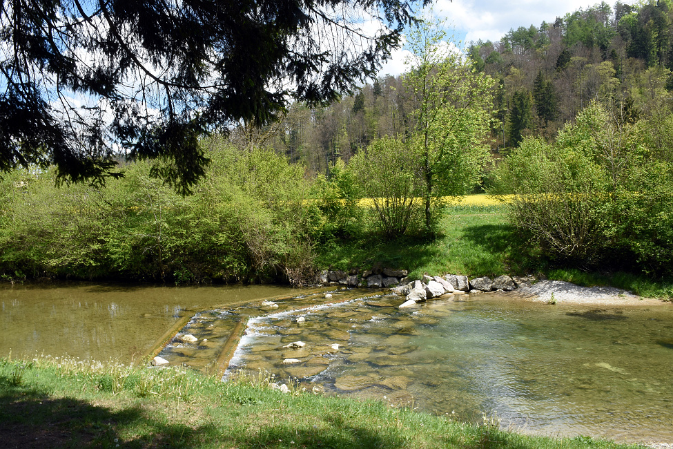 Seniorenwanderung Eschenberg-Kyburg