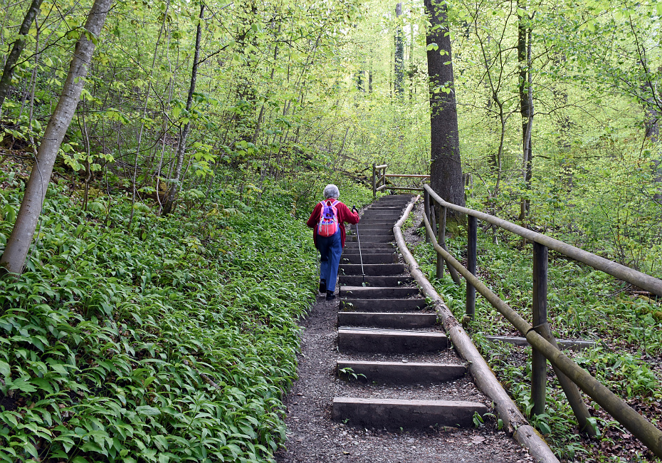 Seniorenwanderung Eschenberg-Kyburg