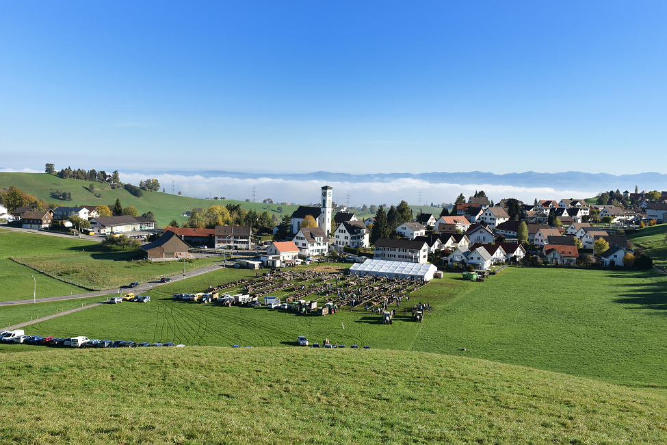 Viehprämierung 2017