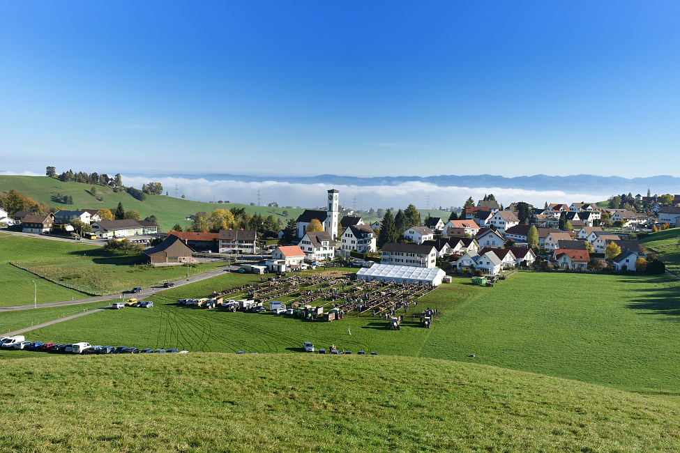 Viehprämierung 2017