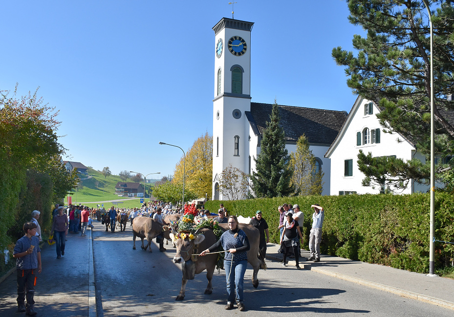 Viehprämierung 2017