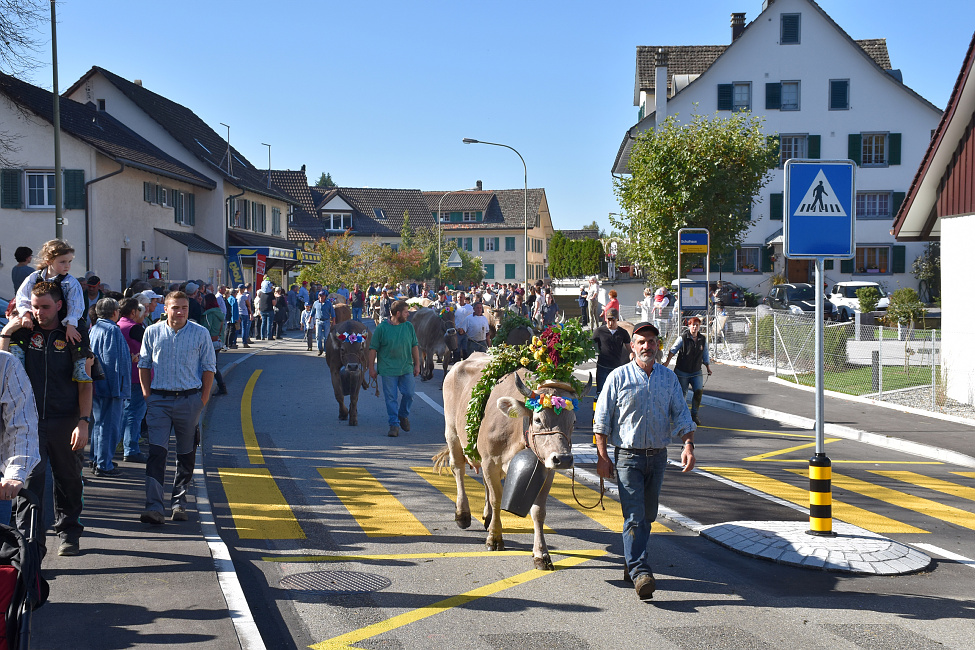 Viehprämierung 2017