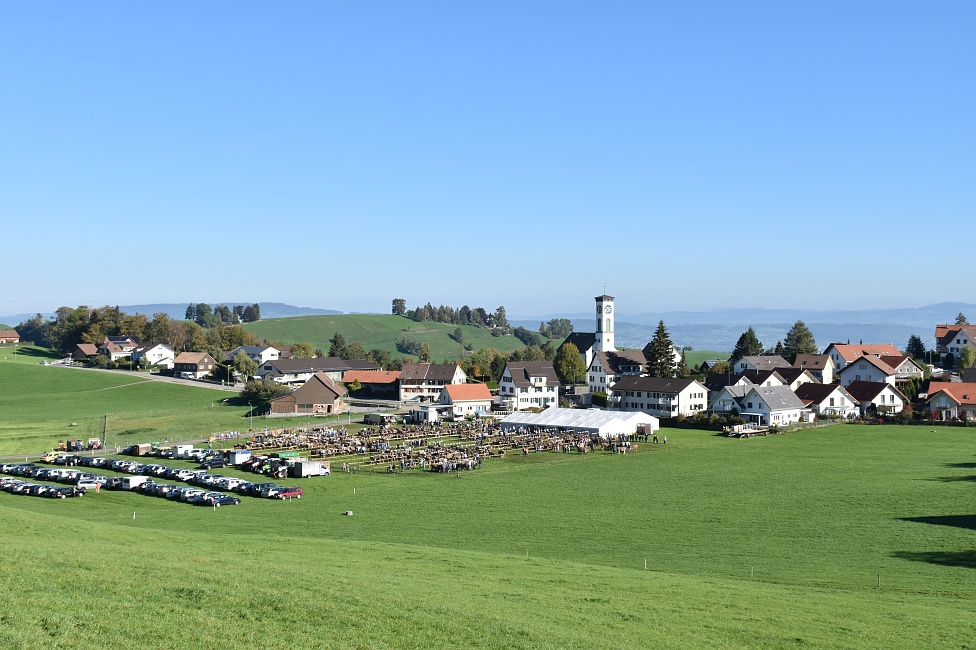 Viehprämierung Hütten 2018