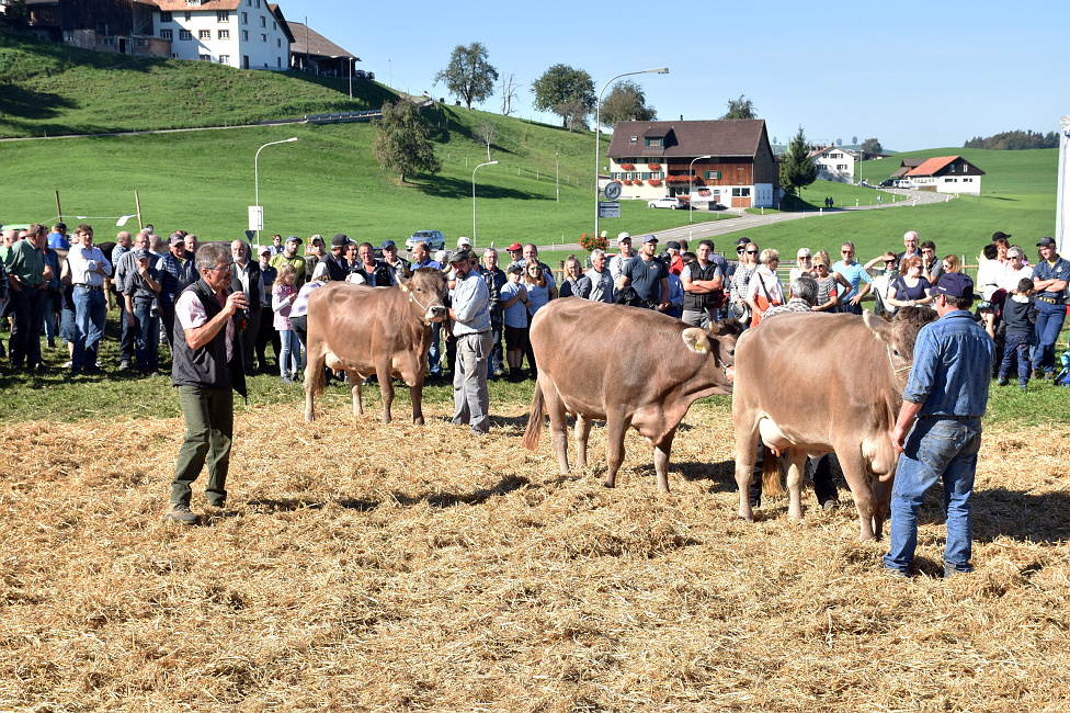 Viehprämierung Hütten 2018