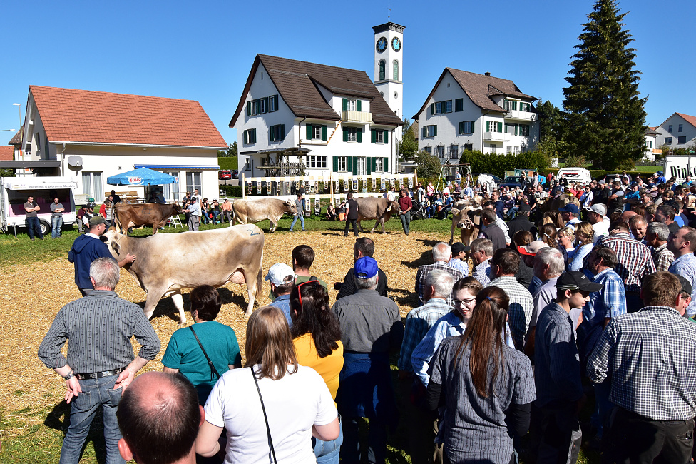 Viehprämierung Hütten 2018