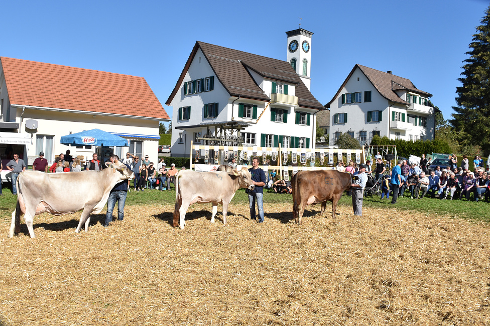 Viehprämierung Hütten 2018