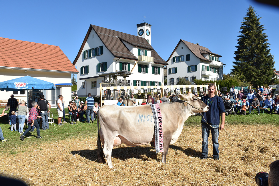 Viehprämierung Hütten 2018