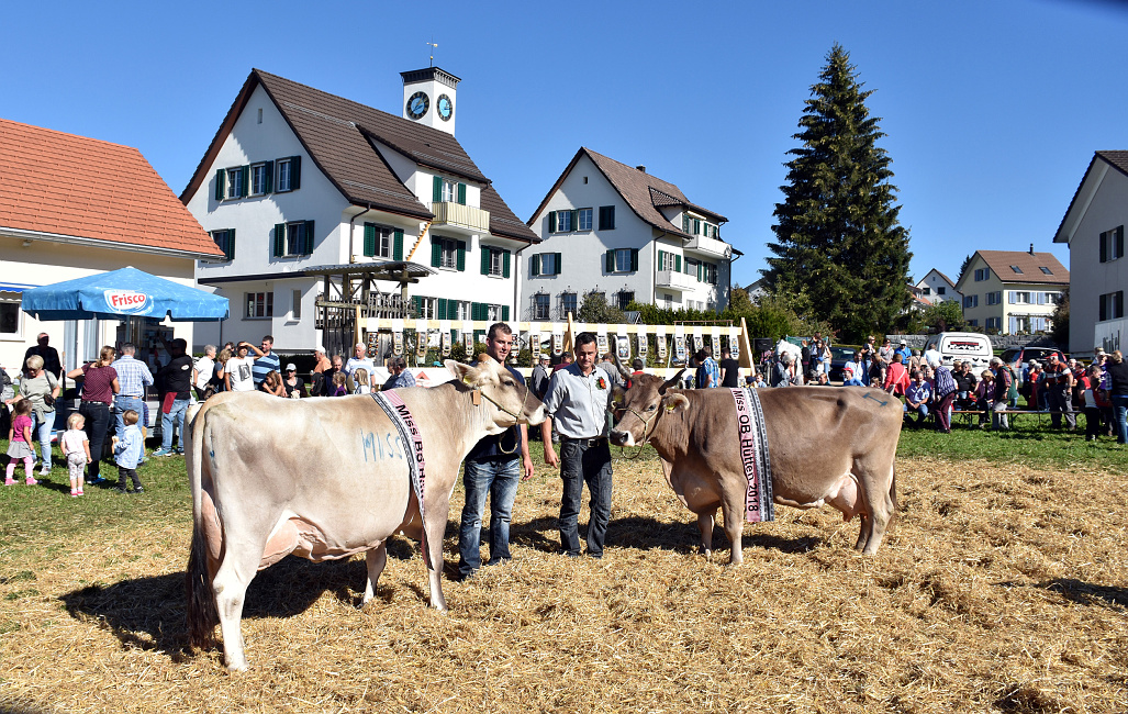 Viehprämierung Hütten 2018