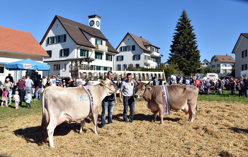 Viehprämierung Hütten 2018