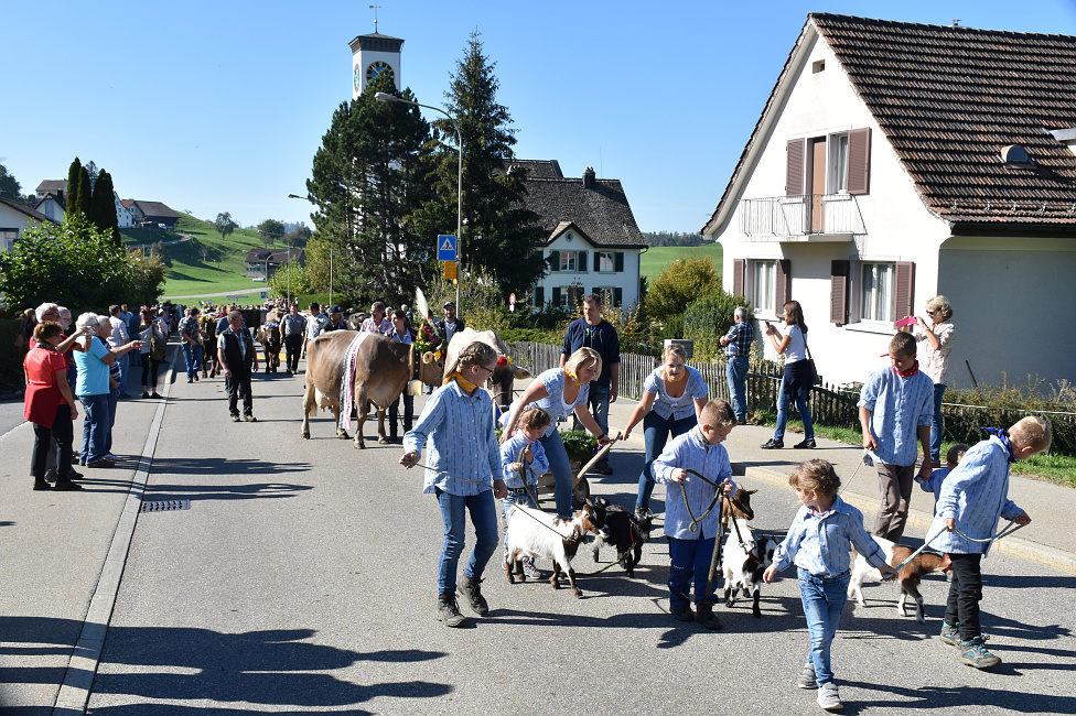 Viehprämierung Hütten 2018