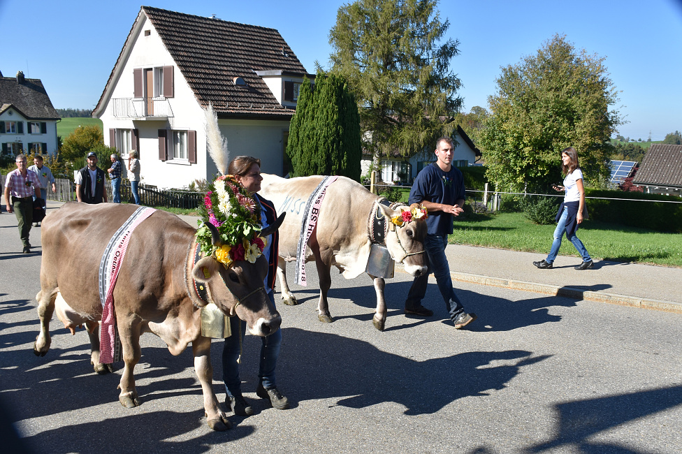 Viehprämierung Hütten 2018