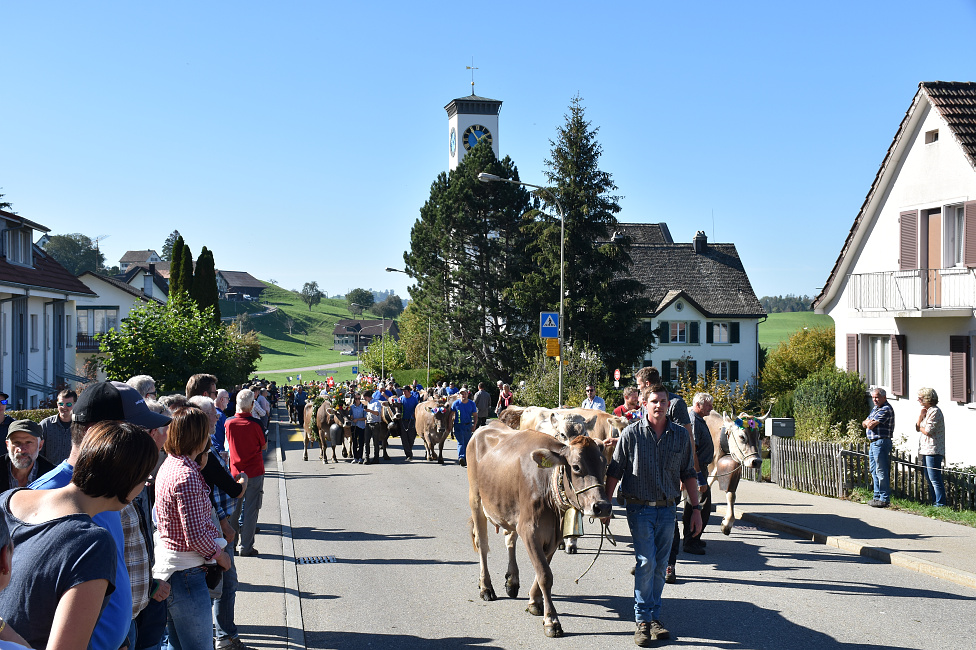 Viehprämierung Hütten 2018