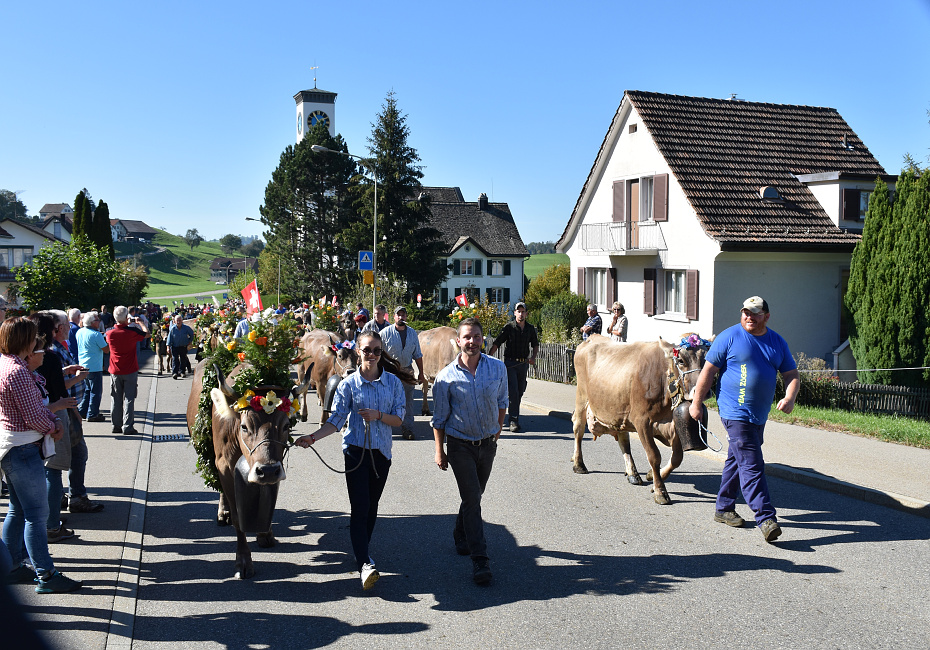 Viehprämierung Hütten 2018