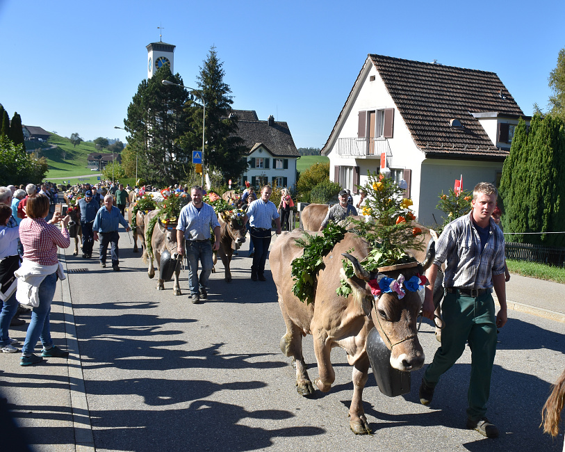 Viehprämierung Hütten 2018