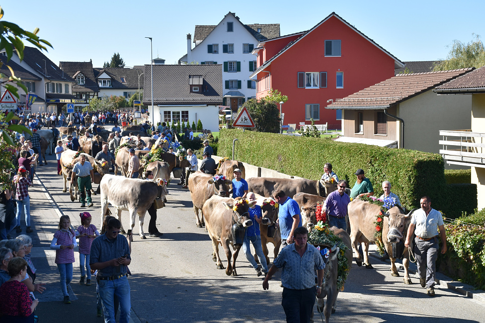 Viehprämierung Hütten 2018