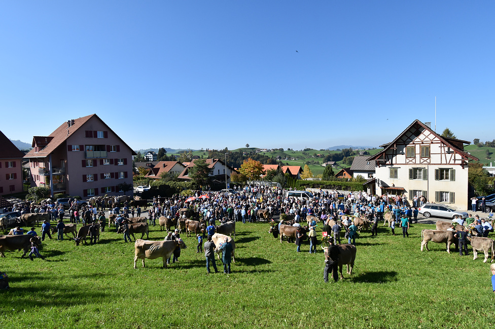 Viehprämierung Hütten 2018