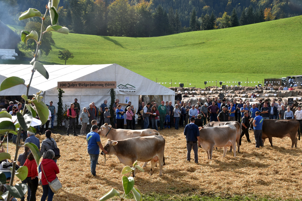 100 Jahre Viehschau Hütten