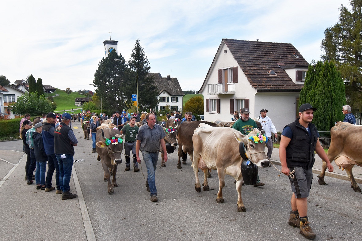 100 Jahre Viehschau Hütten