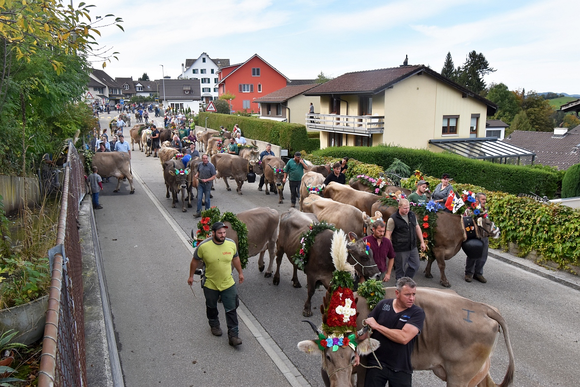 100 Jahre Viehschau Hütten