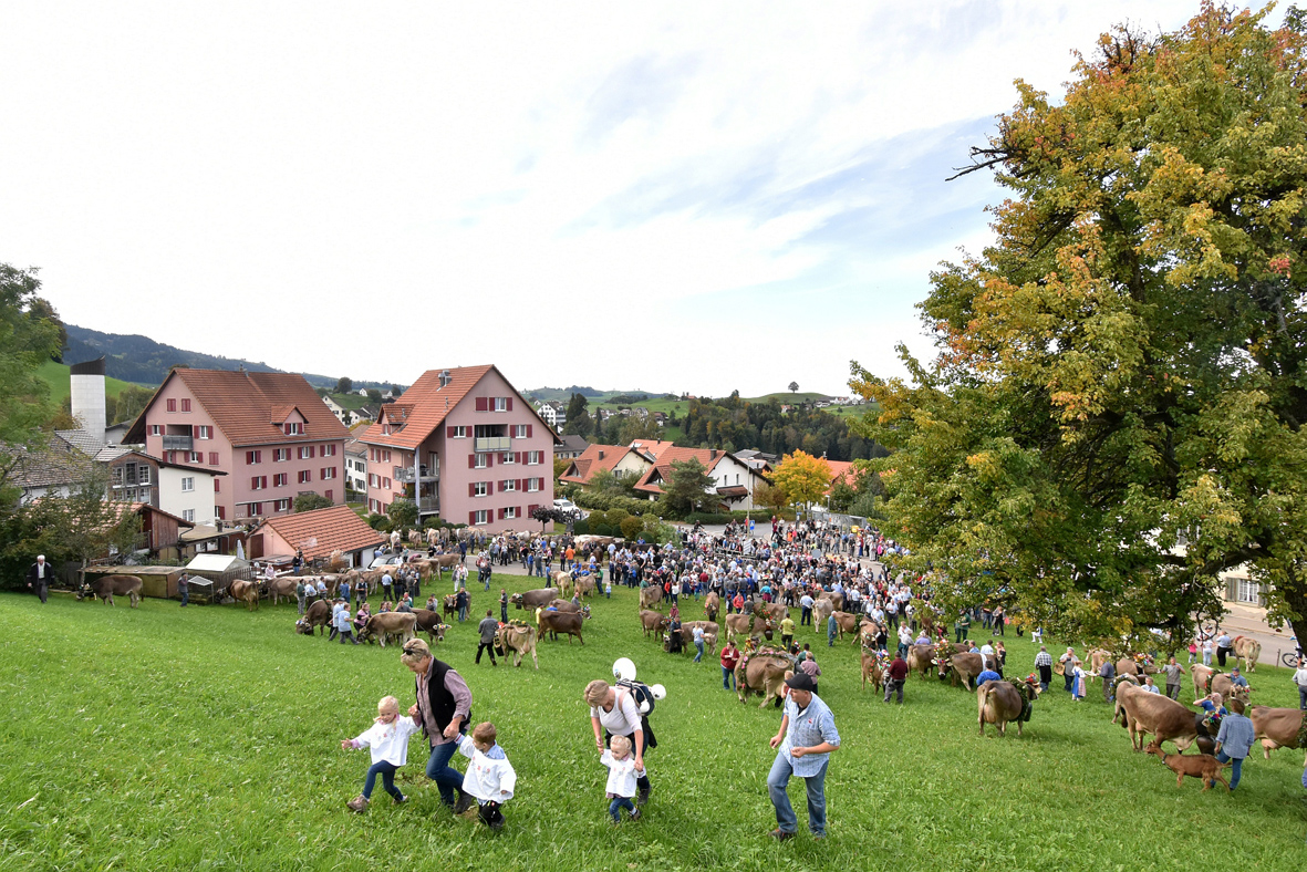 100 Jahre Viehschau Hütten