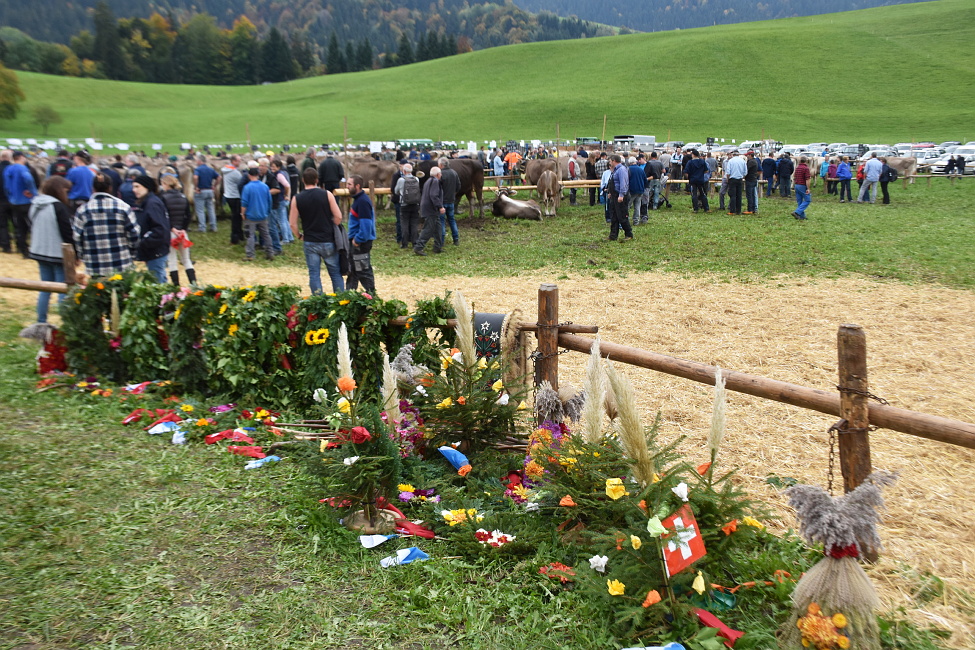 Viehschau2022