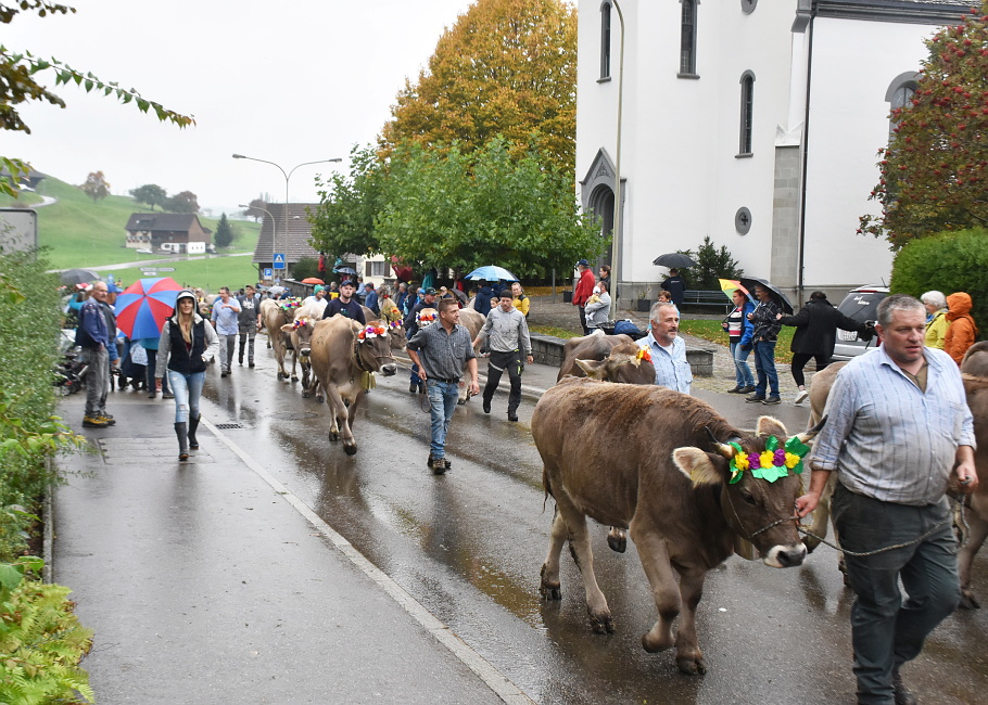 Viehschau2022