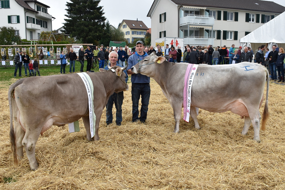 Viehprämierung 2015 Hütten