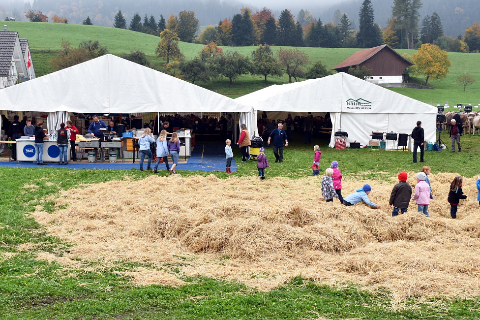 Viehprämierung 2015 Hütten