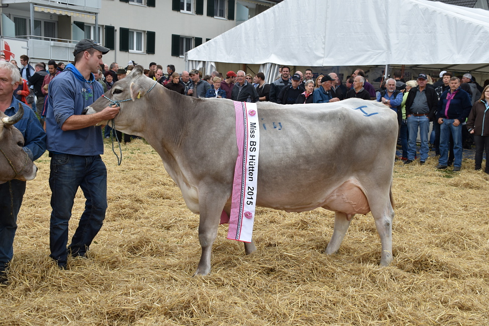 Viehprämierung 2015 Hütten