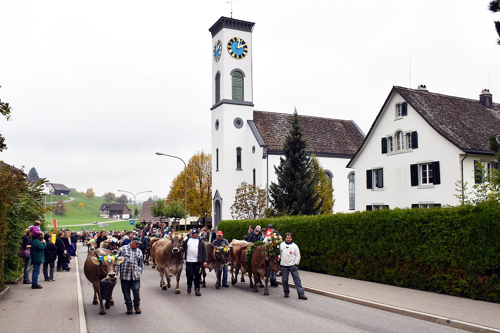 Viehprämierung 2015 Hütten