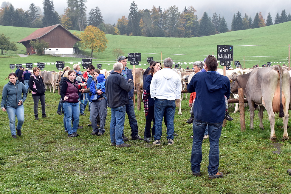 Viehprämierung 2015 Hütten