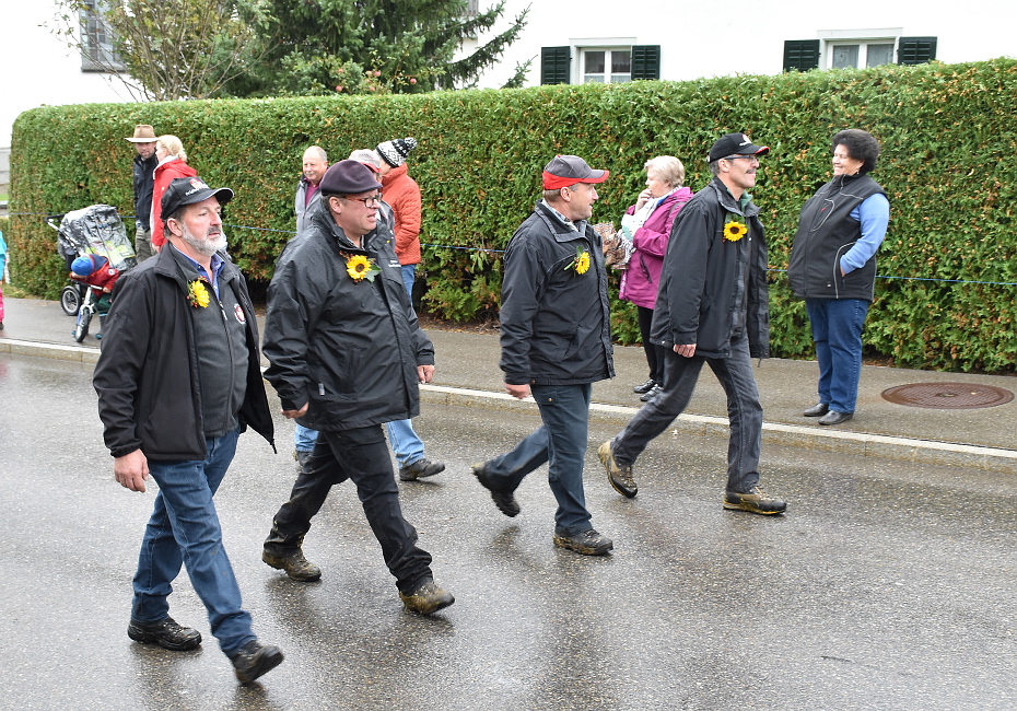 Viehschau Hütten 2016