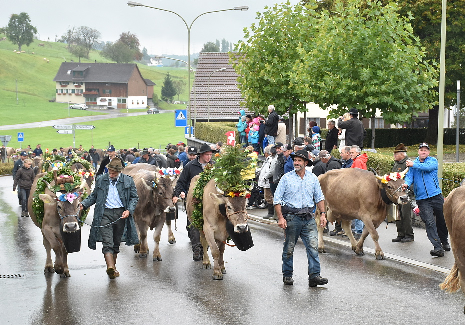 Viehschau Hütten 2016