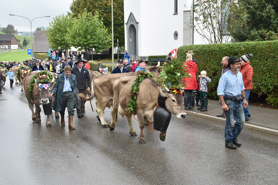 Viehschau Hütten 2016